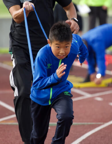ティラノダッシュの取り組み